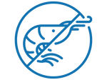 no chitosan icon