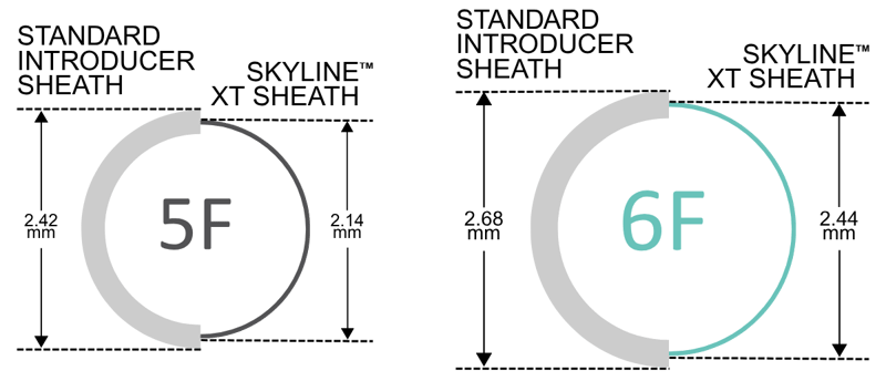 skyline lumen graph-1